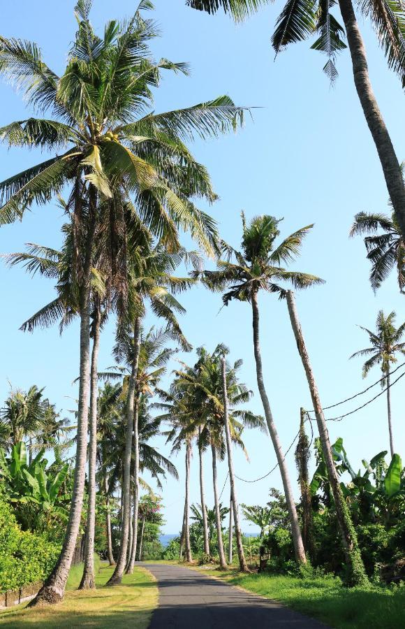 Tamu Seseh Villa Canggu  Bagian luar foto