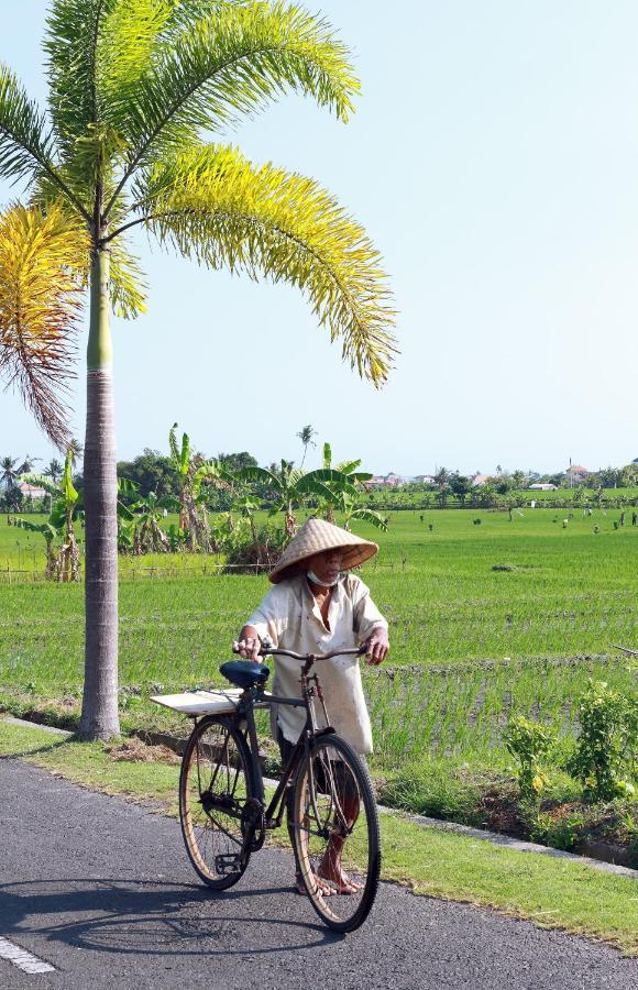 Tamu Seseh Villa Canggu  Bagian luar foto