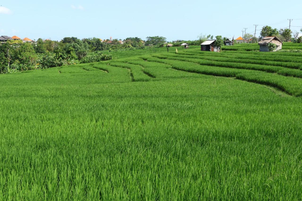 Tamu Seseh Villa Canggu  Bagian luar foto