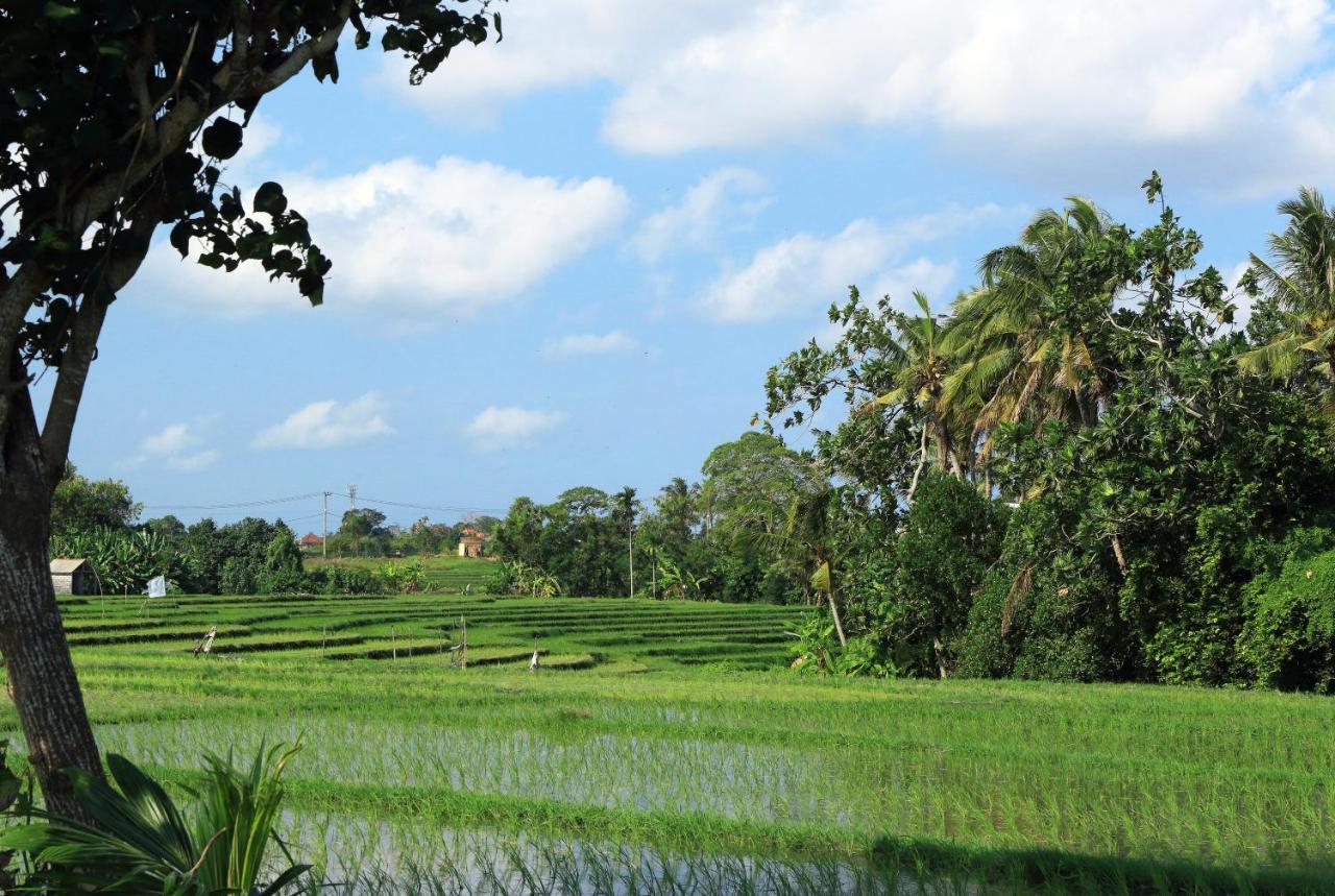 Tamu Seseh Villa Canggu  Bagian luar foto